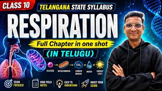 Respiration Full Chapter in One Shot | Class 10 Science TS Syllabus | In Telugu | Easy Explanation
