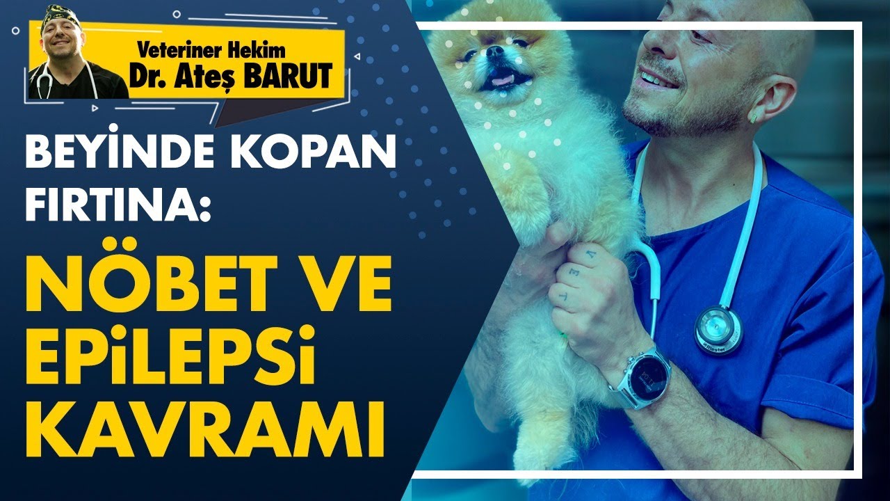 Nöbet kavramı ve EPİLEPSİ
