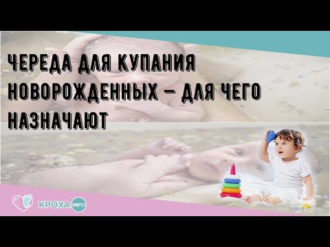 Video: Жашылча-жемиштер менен купат