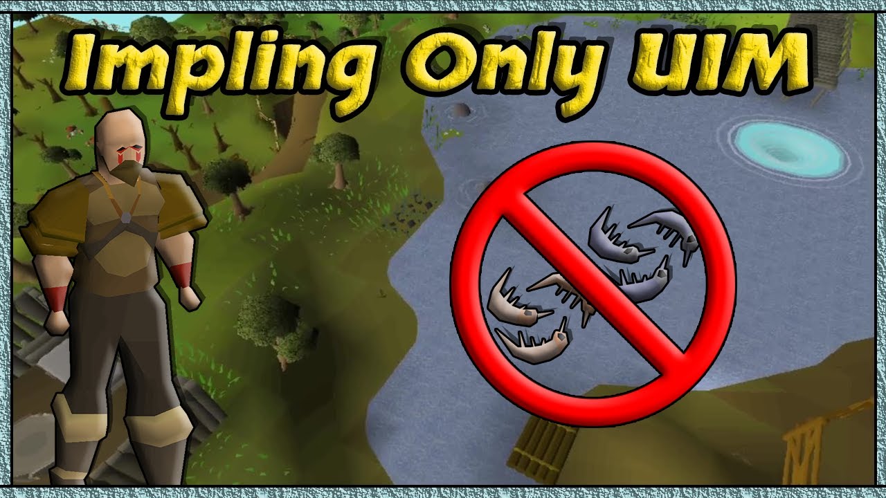 Best NEW Training Method - Impling Only UIM (#23)