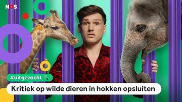 Sterft de dierentuin uit? | UITGEZOCHT #95