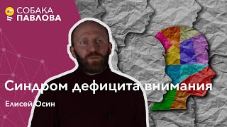 СДВГ - Елисей Осин// гиперактивность у детей, самоконтроль у взрослых, дефицит внимания