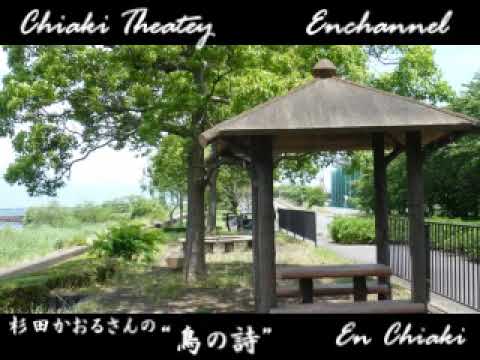 杉田かおる/ 鳥の詩
