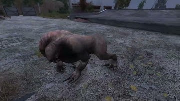 S.T.A.L.K.E.R Call of Pripyat, Gunslinger Mod: Killing a Chimera using a knife part 1