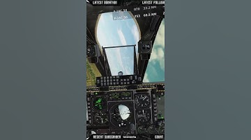 His WINGMAN got revenge! #dcs #a10 #f16 #flightsimulator #flying #virtualreality #aviation #revenge