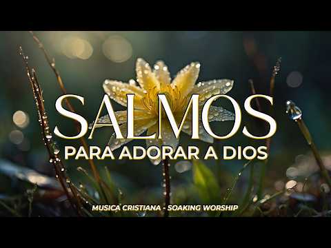 SALMOS CANTADOS 🙏✨ | Para Adorar a Dios en Su Presencia 🌿 | Exalta Su Nombre con Todo tu Corazón