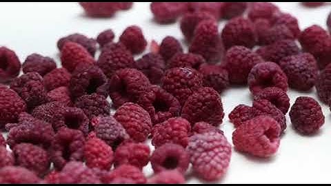 FRUIT FAIRY - IQF raspberry whole production