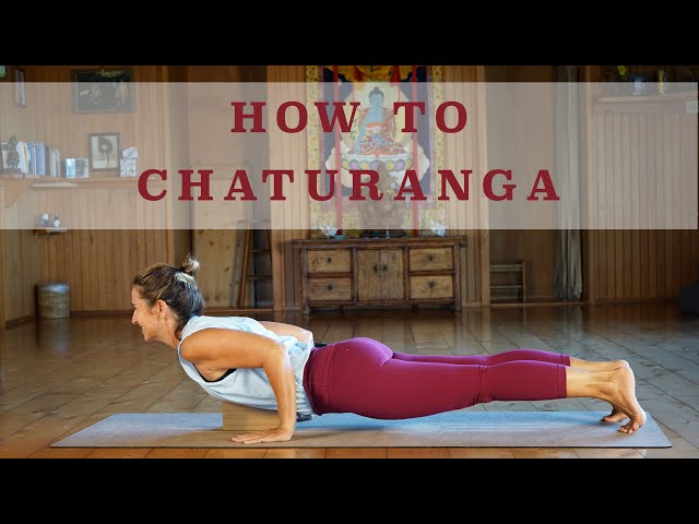 How To Chatturanga Dandasana  Yoga with Nicki Doane 