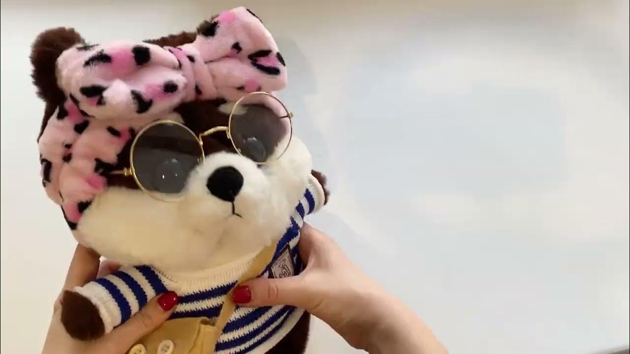 Собака Сиба Ину ЛаЛаФанФан (LalaFanFan) - YouTube