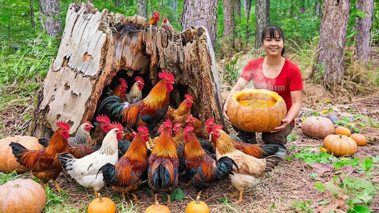 TIMELAPSE -- Amazing Pumpkin Soup Cooking & Catching Many Wild Muscovy Hatched Chicken in the Forest