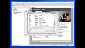 Entering a Sales Order in Sage 100