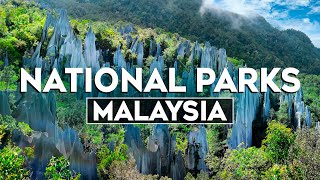 Top 10 Most Beautiful National Parks In Malaysia - Travel Video 2024