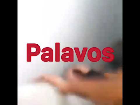 Palavos