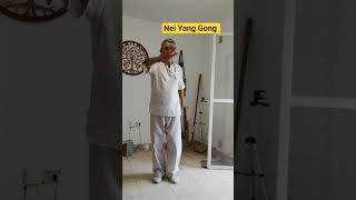 Nei Yang Gong! segundo movimiento! Qi Gong