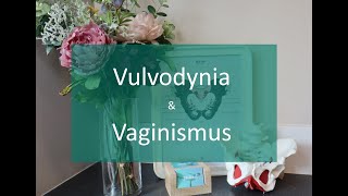 My vagina hurts! - I think I&#39;ve got Vulvodynia or Vaginismus, what can I do?