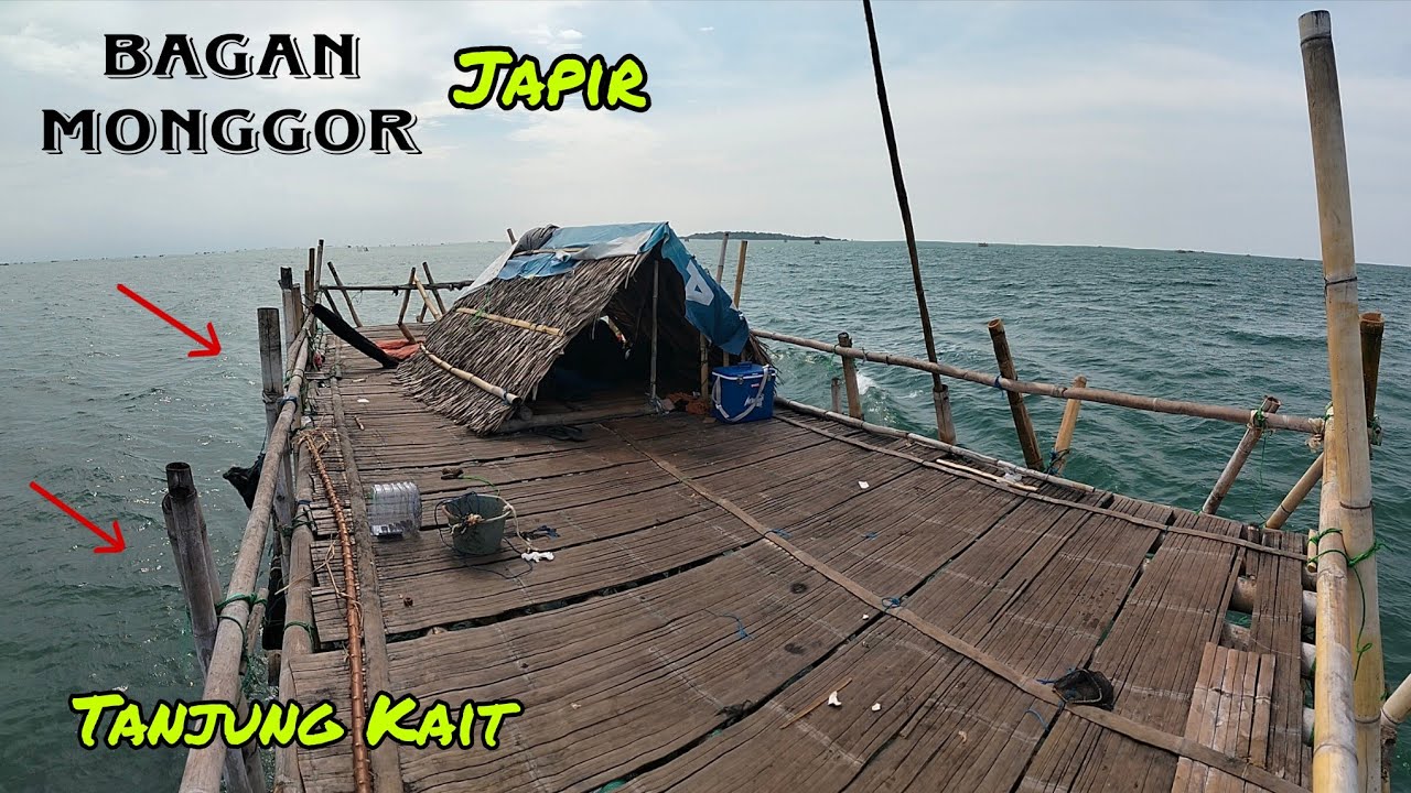 Edass ikan nya super super ‼️Bagan mamung tanjung kait Bagan japir