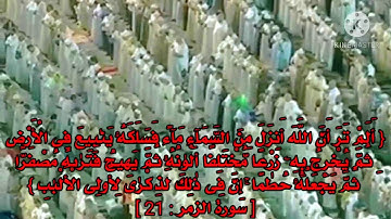 (ألم تر أن الله أنزل من السماء ماء)/الشيخ ياسر الدوسري/أفضل وأجمل تلاوة/حالات واتس