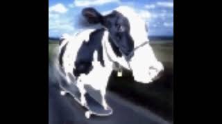 For whom the cow bell tolls