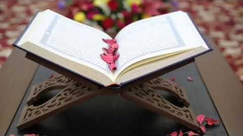 الصفحة 14 من سورة البقرة مكررة 7مرات