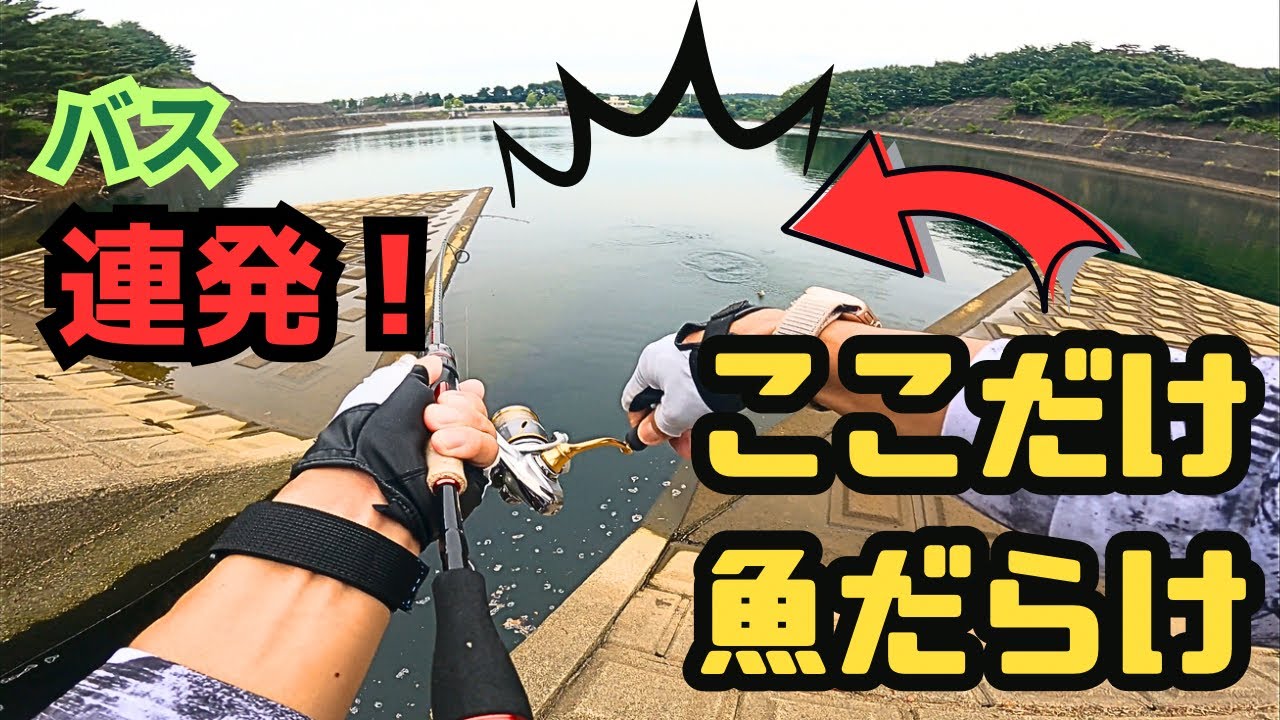 【川スモール】【会津バス釣り】ここだけバス連発❗️小さいけど数は釣れる⤴︎⤴︎😆✨