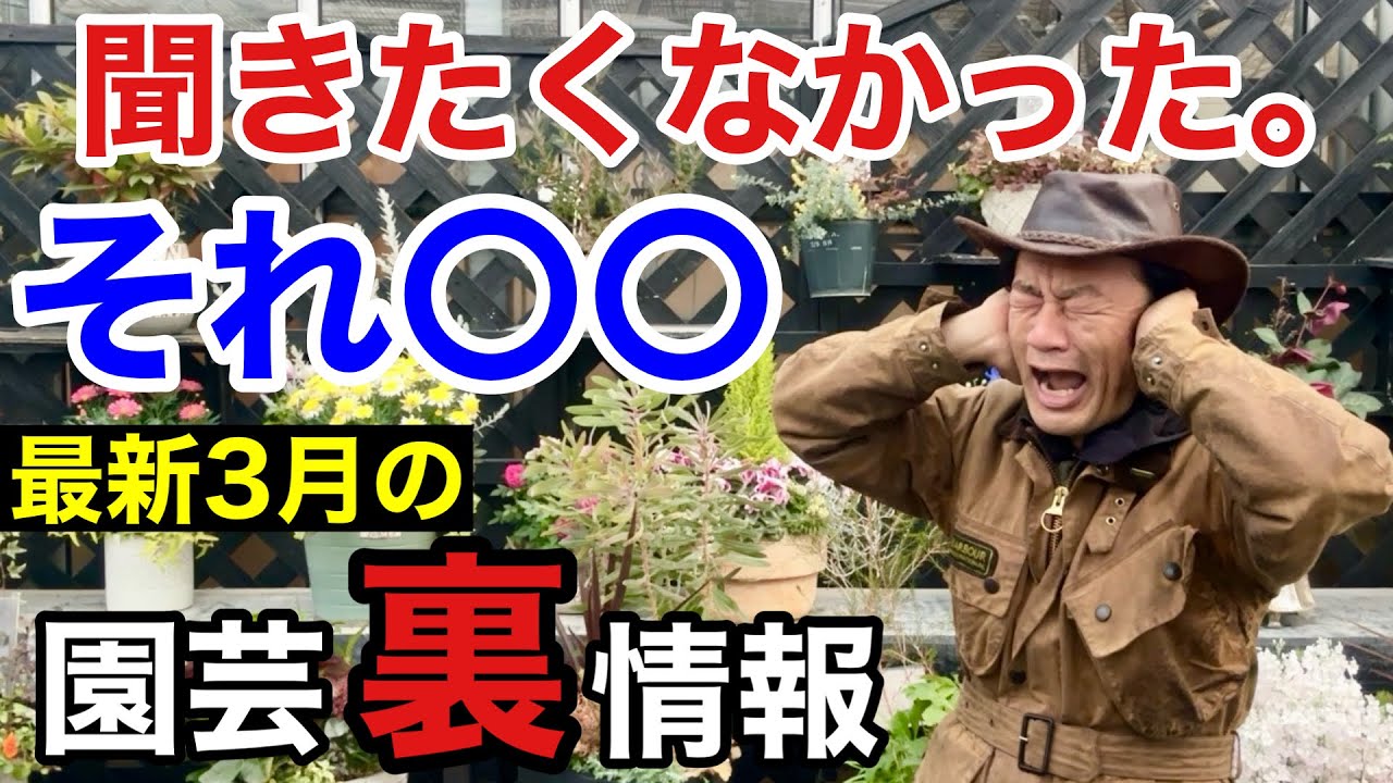 【物凄く微妙な月】3月に買うならこれだけ！教えます　　　【カーメン君】【園芸】【ガーデニング】【初心者】