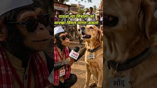 सरकार म्हणतं सोनं घेऊ नका, कुत्रा भाऊचं उत्तर ऐकून हसू थांबणार नाही, #monkeyinterview #doginterview