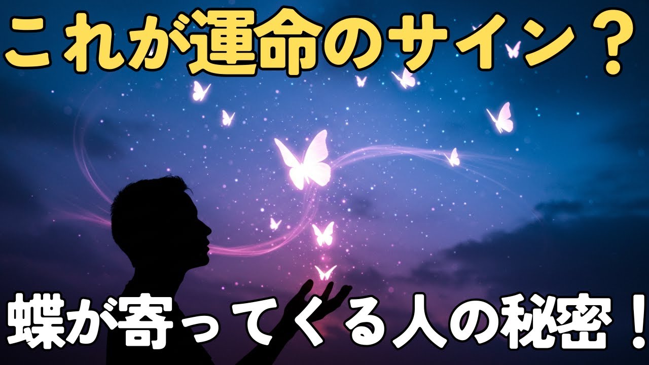 【スピリチュアル診断】なぜか蝶が寄ってくる人の5つの特徴とその神秘的な意味