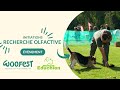 🐶🔍 Découvrez comment les chiens détectent avec des boudins ! - RECHERCHE OLFACTIVE - WOOFEST