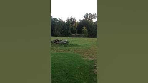 Shockwave exploding target with gas