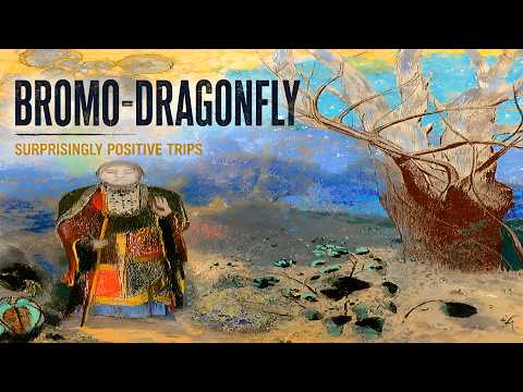 Bromo-DragonFLY: The Positive Trips Nobody Talks About
