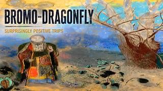 Bromo-DragonFLY The Positive Trips Nobody Talks About