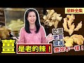 健康好生活  20240101 「薑」是老的辣！乾薑 老薑 薑黃療效不一樣！