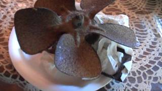 Revealing the fan unit in all its' greasy goodness! this is an 8"
unit, but it mighty - motor a 1/20 horsepower 4 pole (shaded type)
that spins...