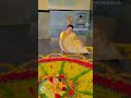 Happy Onam #religion #mamatha #fact #how#mrs#karnataka#success#kannada#filmoramobile#subscribe#actor