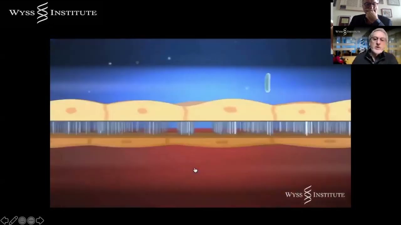 Organs-on-Chips Technology Explained by Donald Ingber