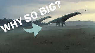 Why were prehistoric animals so big?