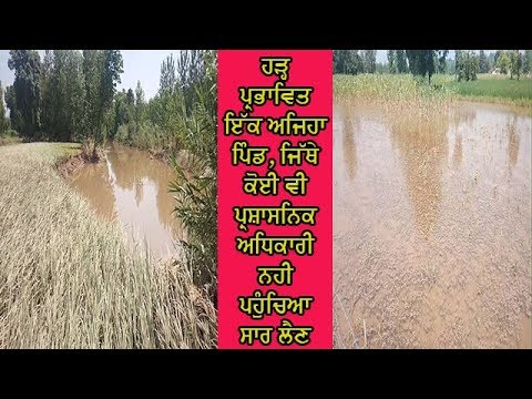 Flood impact - - ਪਾਣੀ ਉੱਤਰਨ ਤੋਂ ਬਾਅਦ ਅਨੇਕਾਂ ਸਮੱਸਿਆਵਾਂ ਨਾਲ ਘਿਰਿਆ ਇਹ ਪਿੰਡ