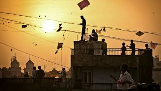 Makar sankranti || patang || udd gaye full screen whatsapp status