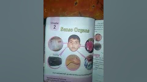 Science Class 6 Lecture 1 | By Ambreen| Falcon School System