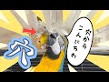 穴をあけて出入りして楽しむインコw