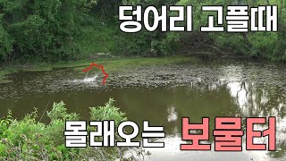덩어리 고플때 몰래 가보는 나만의 보물터 붕어낚시