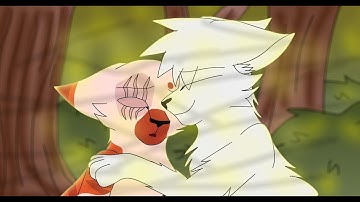 Cloudtail and Brightheart PMV MAP: Beautiful Now (Part 5)