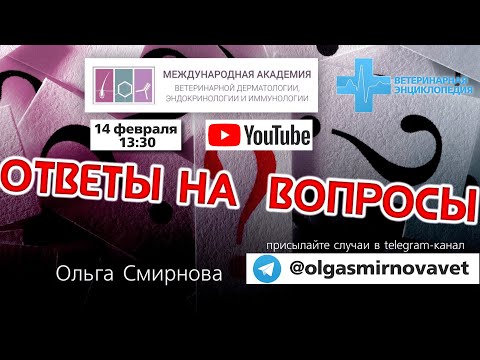 Ответы на вопросы. Выпуск от 14.02.2024