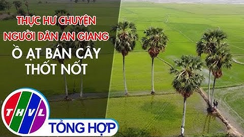Thực hư việc người dân An Giang ồ ạt bán cây thốt nốt