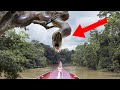 10 Most Terrifying Snake Encounters!