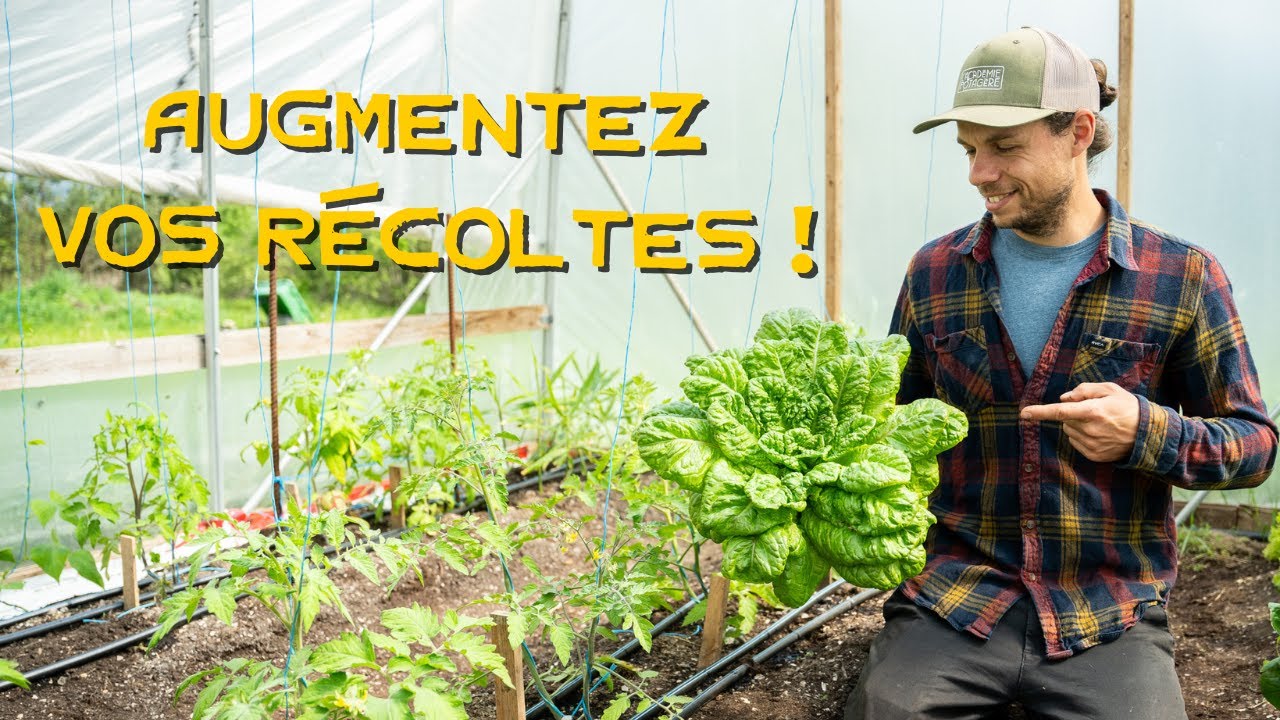 4 stratégies pour MAXIMISER le potentiel d’une serre !