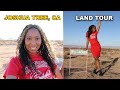 I Bought Land In Joshua Tree California!  From NYC to Desert Land Real Estate Investing