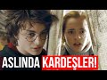 Harry Potter'a Bakış Açınızı Değiştirecek 5 Teori