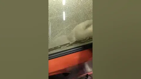 Abrasive Blaster