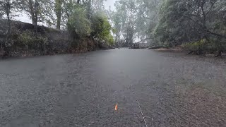 WASHED OUT: Murray Cod Fishing In The Pouring Rain